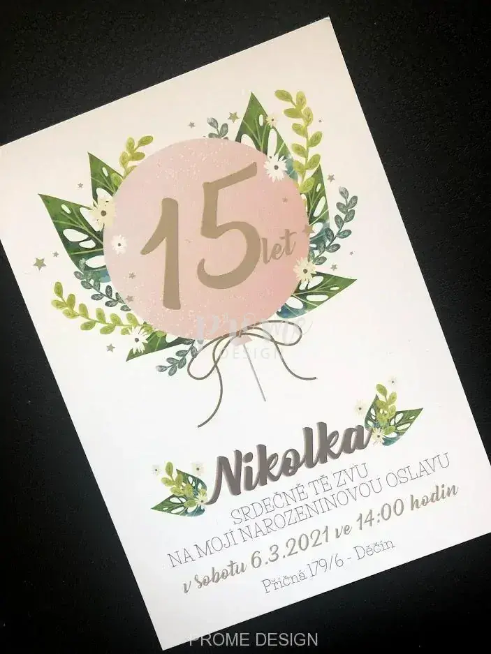 NAROZENINOVÁ POZVÁNKA - 440