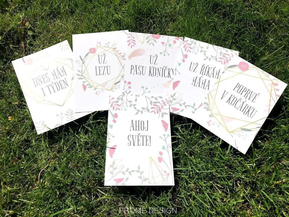 Milníkové kartičky - Pink