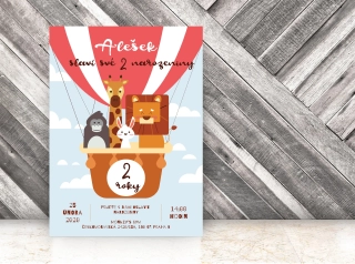 NAROZENINOVÁ POZVÁNKA - 2910