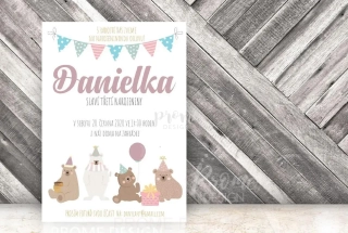 NAROZENINOVÁ POZVÁNKA - 288 