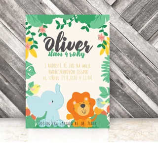 NAROZENINOVÁ POZVÁNKA - ZOO