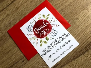NAROZENINOVÁ POZVÁNKA - Daniela 30RED