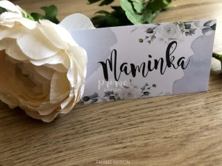 JMENOVKY NA STŮL - 1259