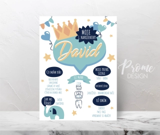 Narozeninový plakát - David