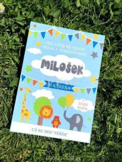 NAROZENINOVÁ POZVÁNKA - 501 BOY