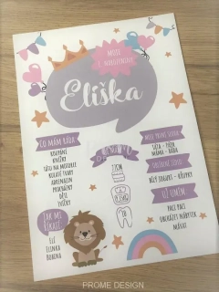 Narozeninový plakát - Eliška