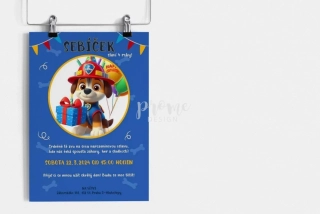 NAROZENINOVÁ POZVÁNKA - PSÍ SUPERHRDINA