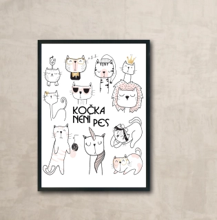  Plakát - Kočka není pes